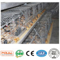 Best Price Chicken Coop Pullet Chicken Cage